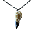 0301 - Bird Skull Necklace